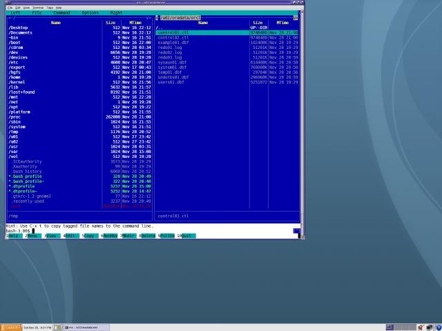 Sun Solaris 10 x64 + Oracle Database 11g R2 (  VMWare) 2009 ENG
