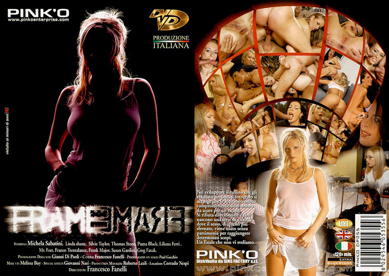 Frame (Chantage Sexuel; Sexual Blackmail) /  (Francesco Fanelli, Pink'O) [2007 ., Straight, DVDRip]