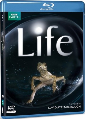 / Life ( BBC,  ) (10   10) [2009 ., , BDRip, 720p]