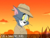    6 / Tom and Jerry Tales Vol. 6 (2009/DVDRip)