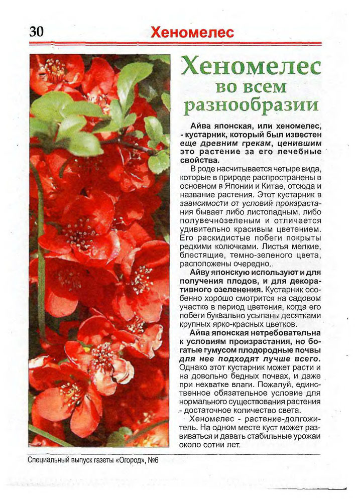 http://i1.fastpic.ru/big/2010/0106/07/76f0d5dd1be8042e83fab7a0f46f4d07.jpg